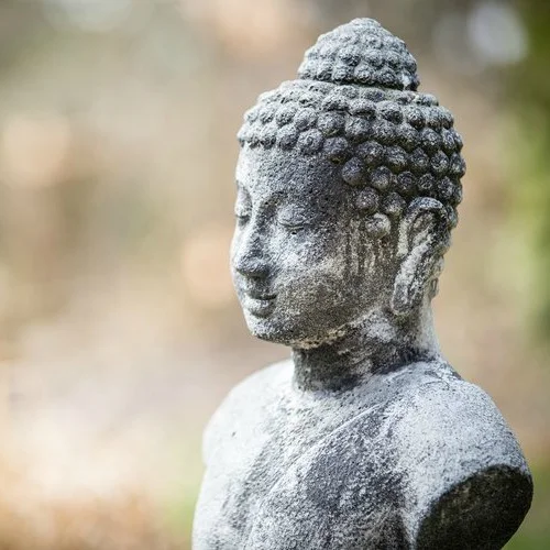 Wellness Wednesday_Meditation_Crop Square.jpg