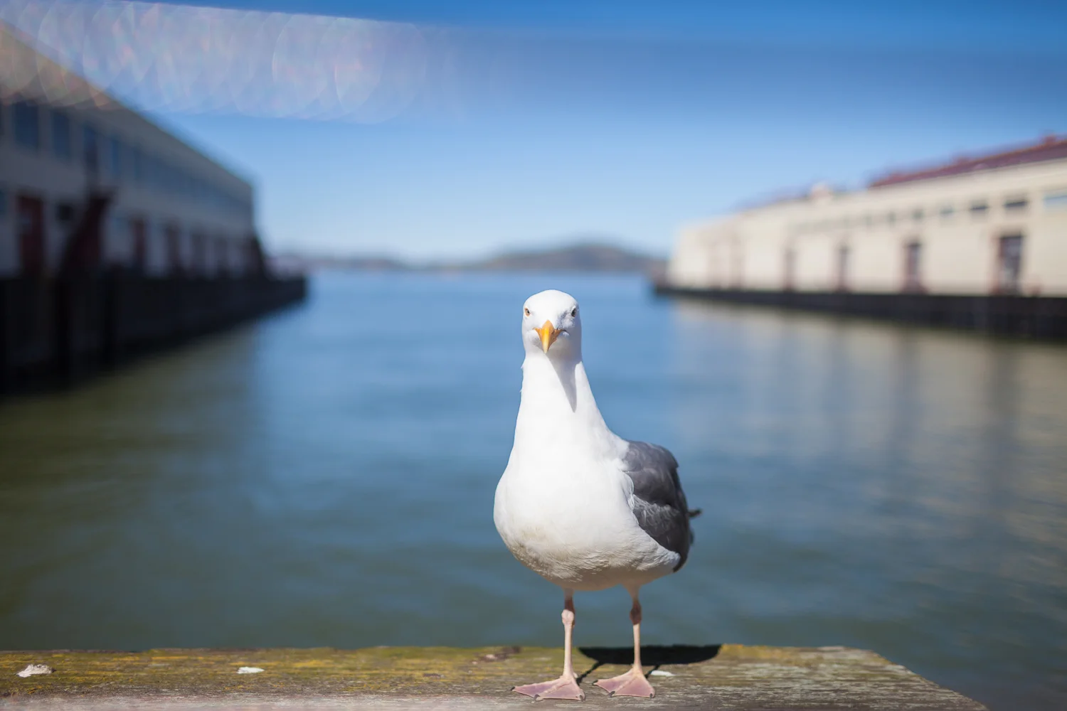 FortMasonTeasers_KTS_Feb2019_099.jpg