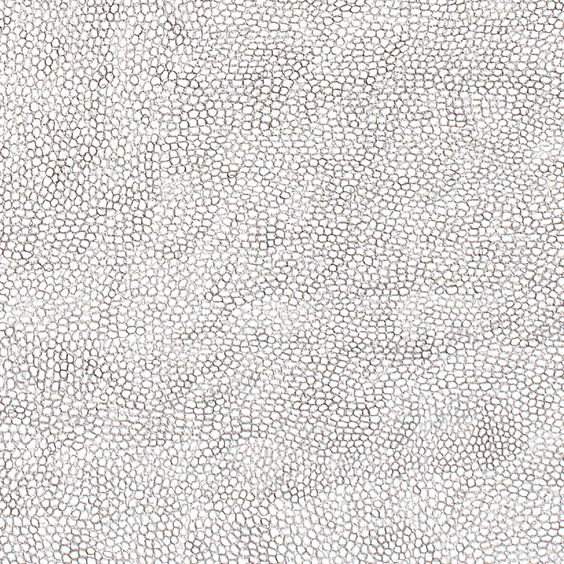  (Detail) Circle Within Large Triangle,&nbsp;2007 50 by 38 inches Graphite on paper 