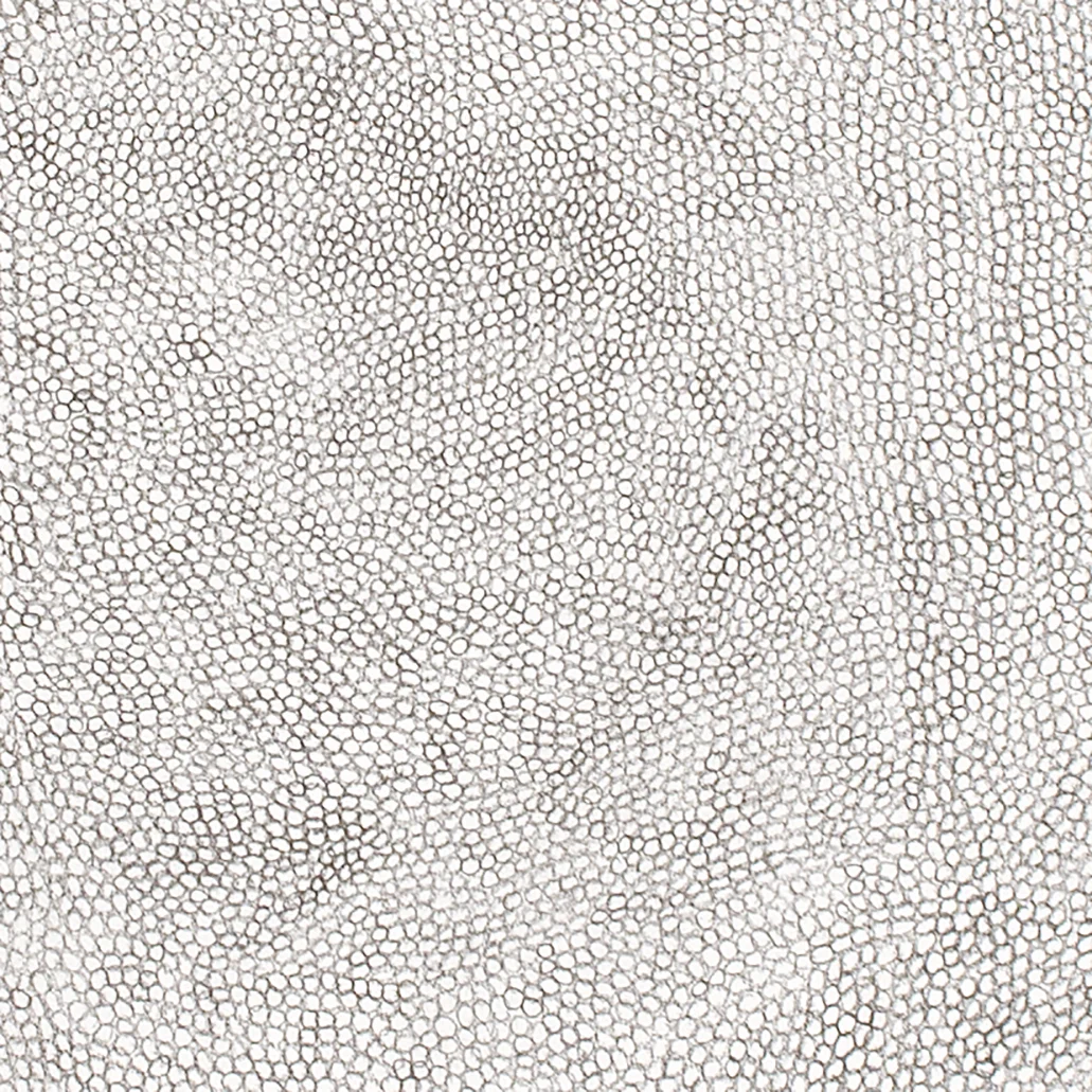 (Detail) Circle Within Large Rectangle, 2007 50 by 38 inches Graphite on paper 