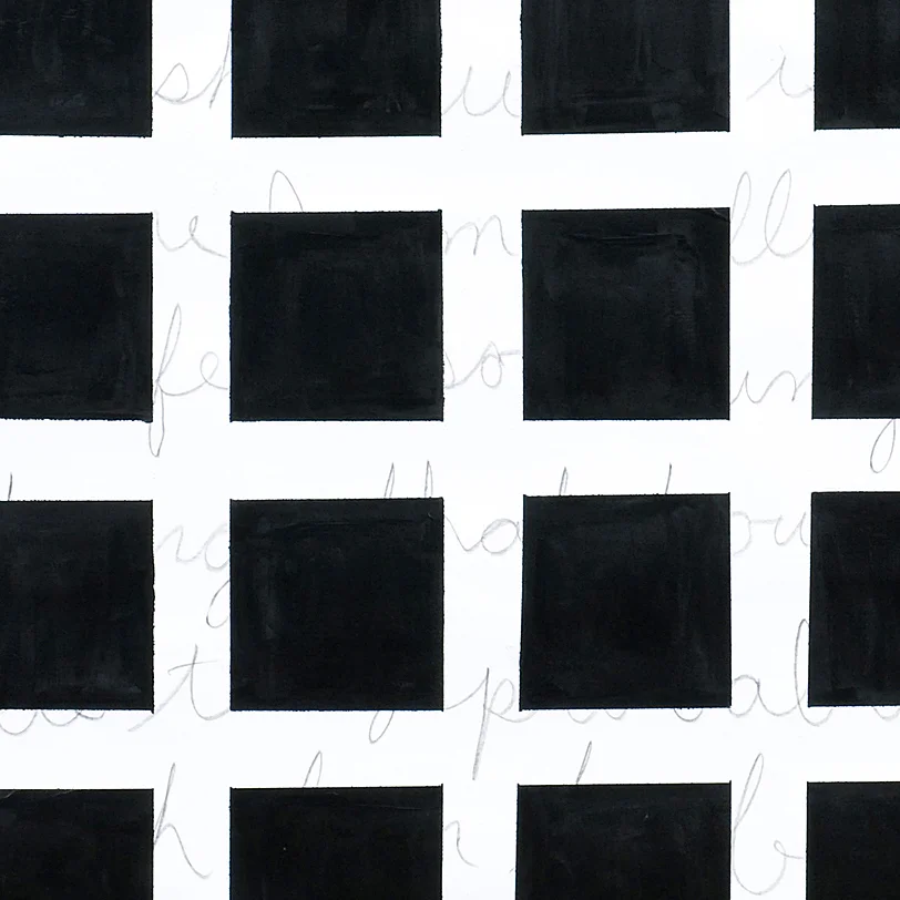  (Detail)&nbsp;Hidden Writing,&nbsp;2010 35 by 45 inches Paint and graphite on paper 