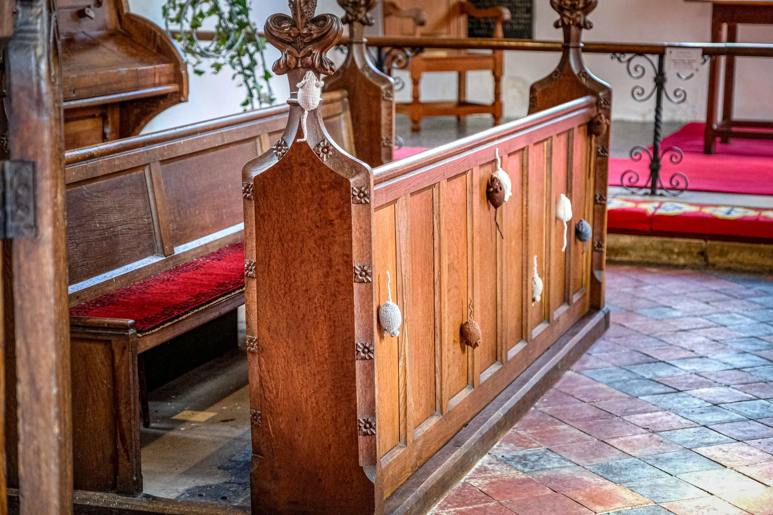 DSCF7378.jpg