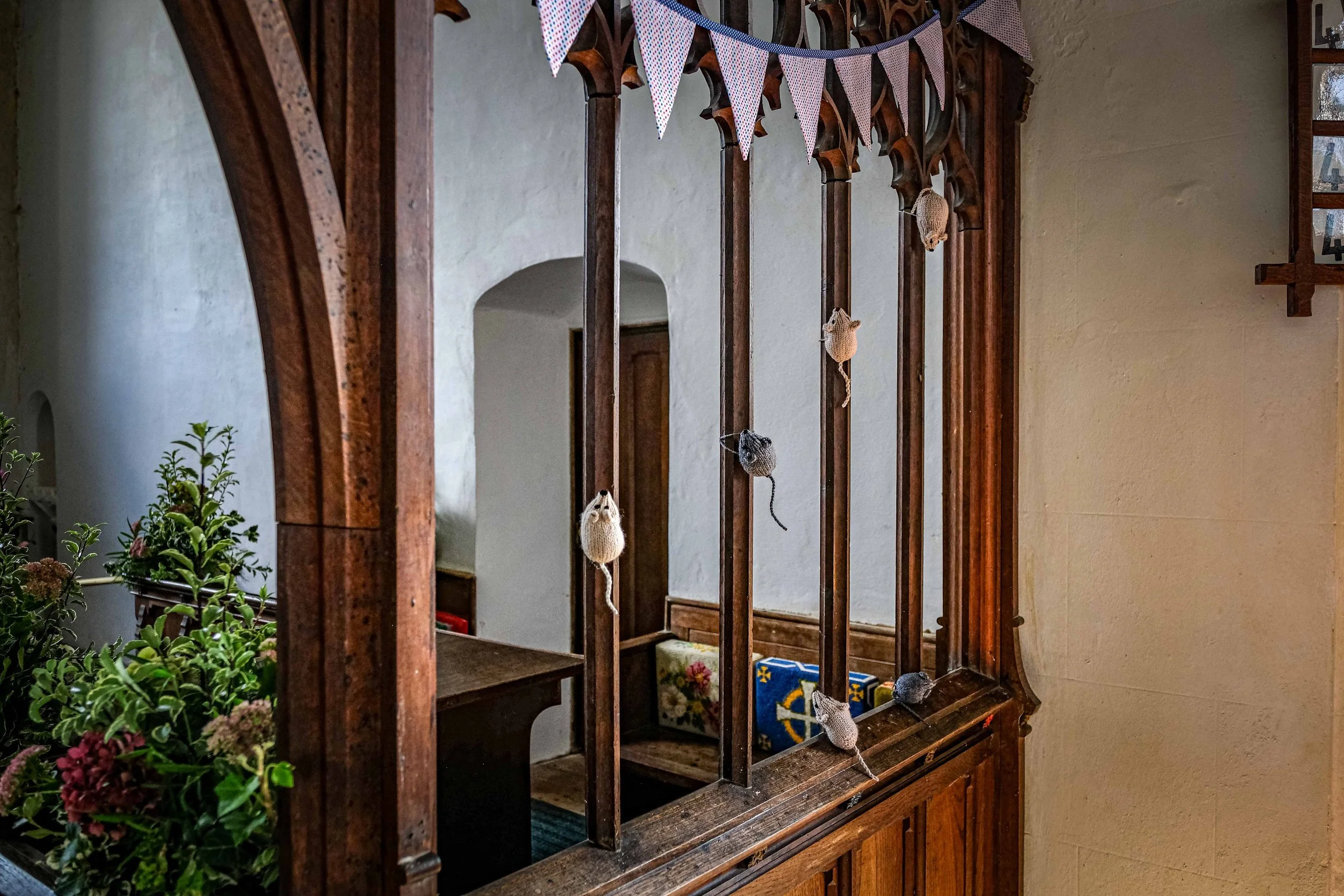 DSCF7444.jpg