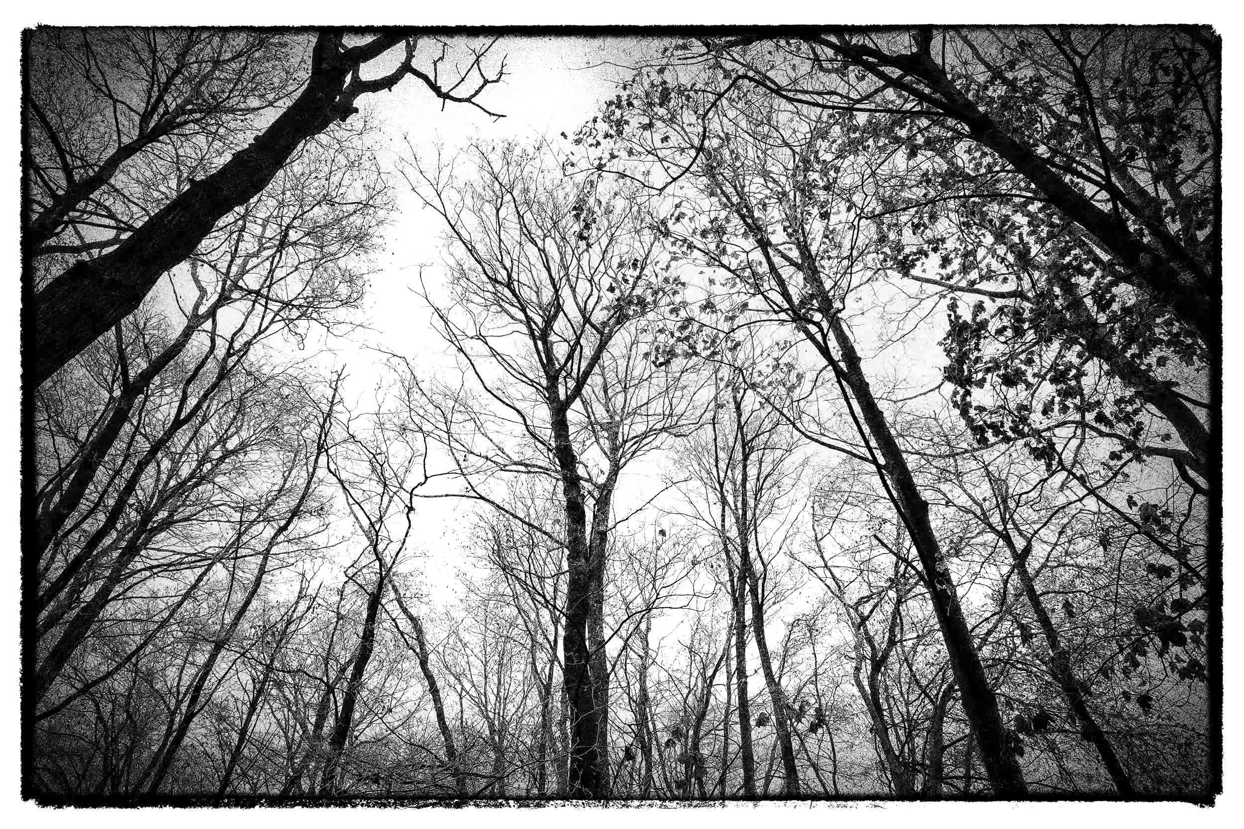 AP PHOTOSBook cover-4 copy 2.jpg