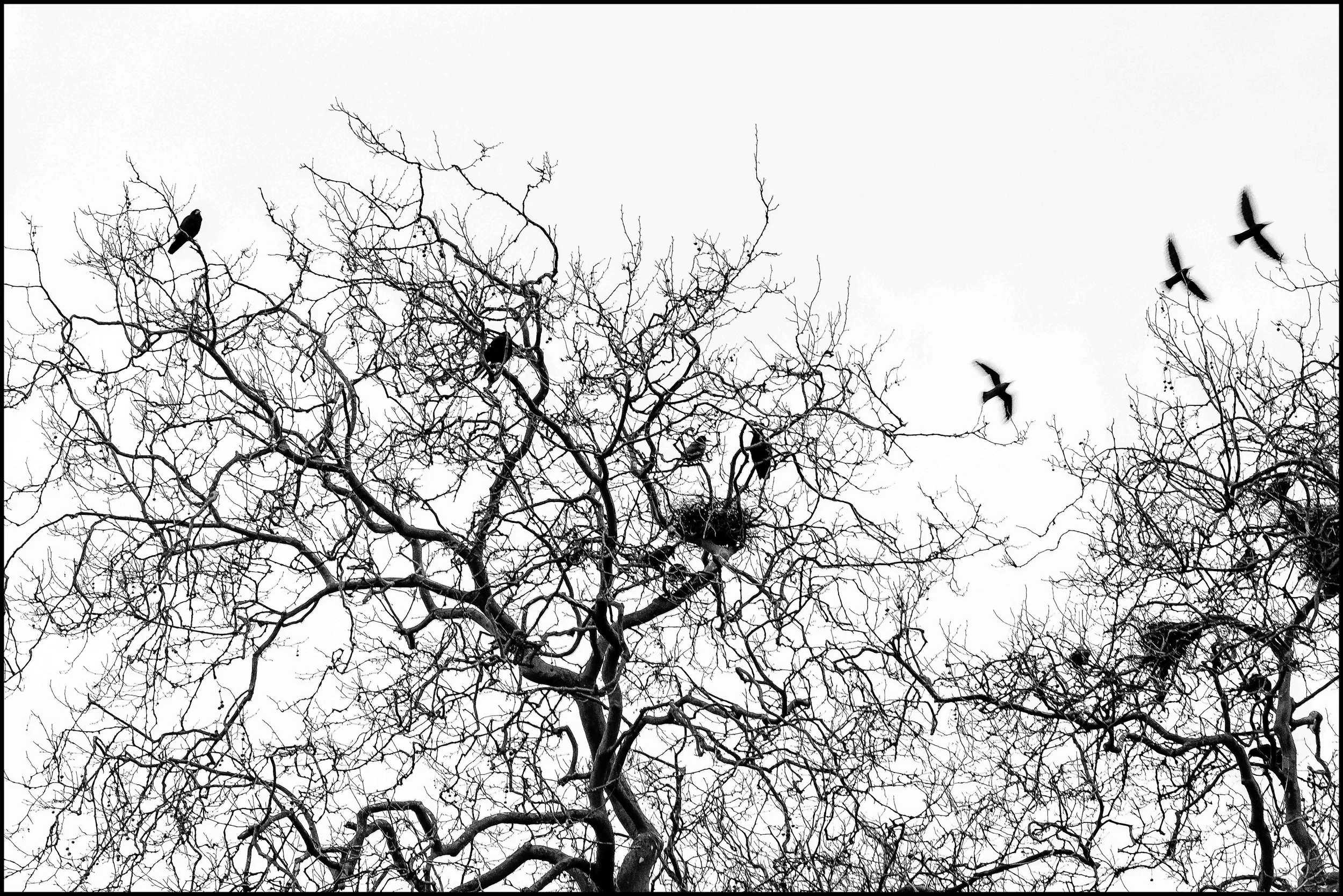 Alan Porter - A5-Edit-Edit-Edit-Edit.jpg