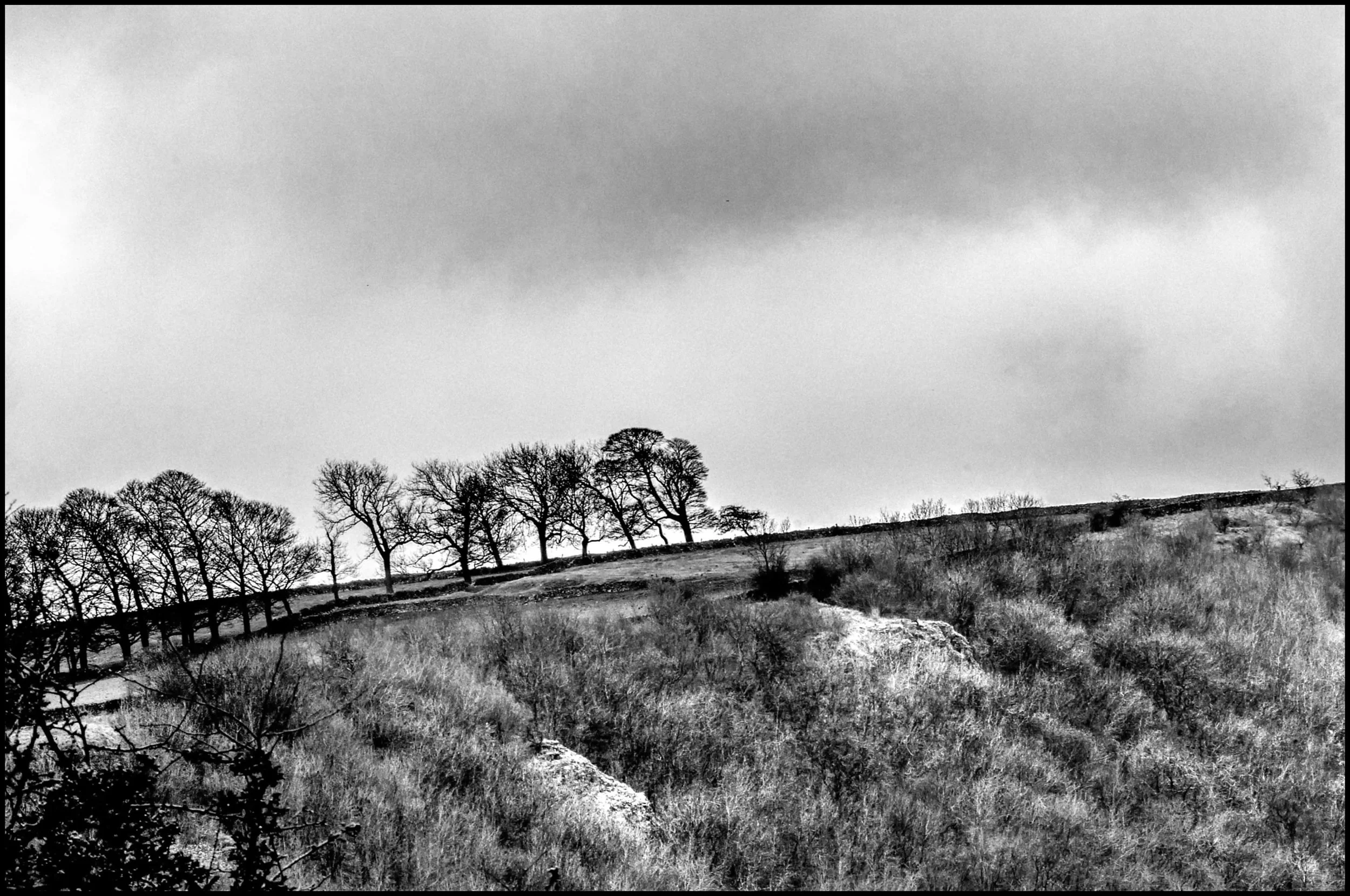 Mountainside B&W-Edit-Edit-2.jpg