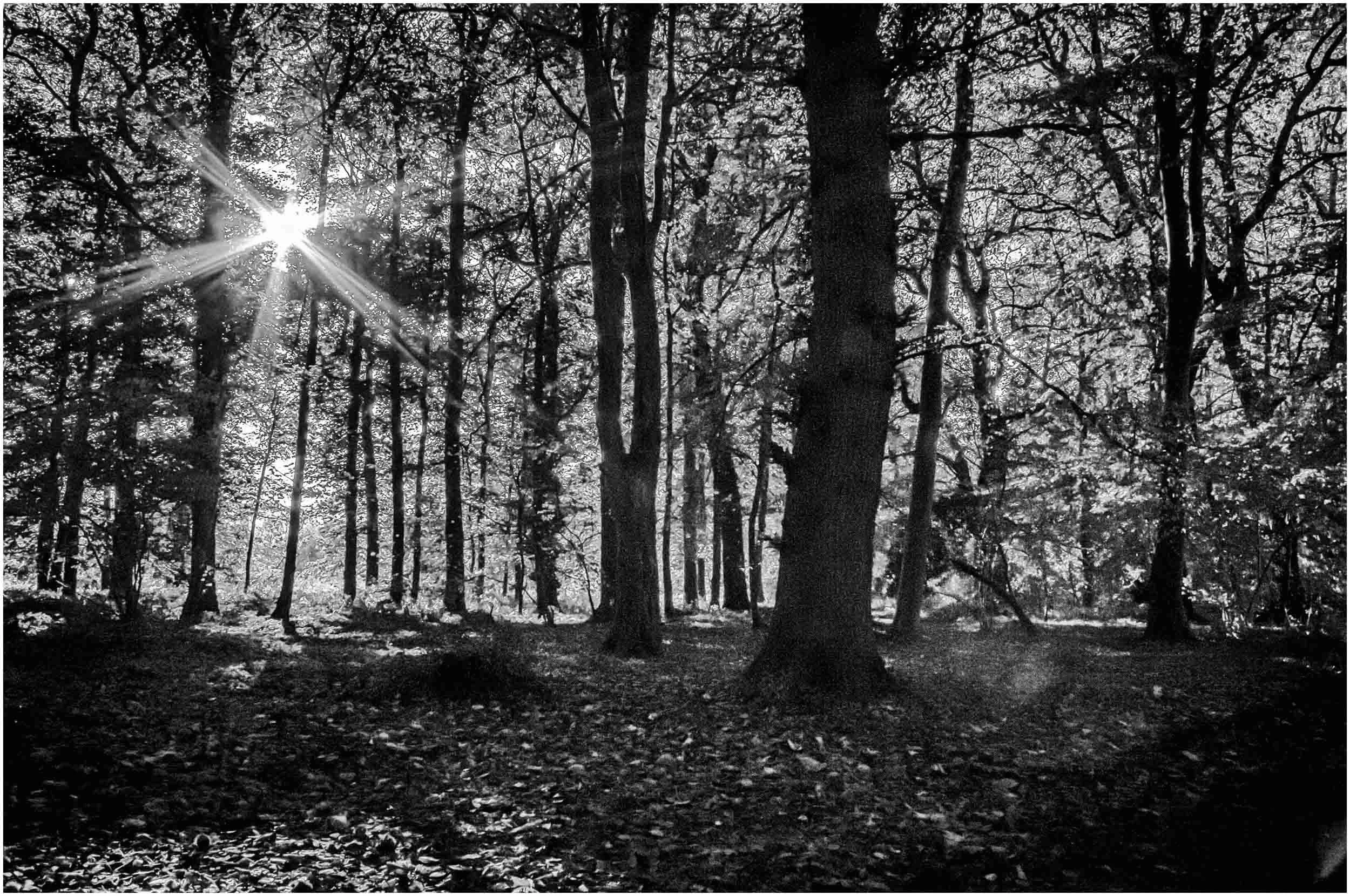 AP PHOTOSBook cover-16.jpg