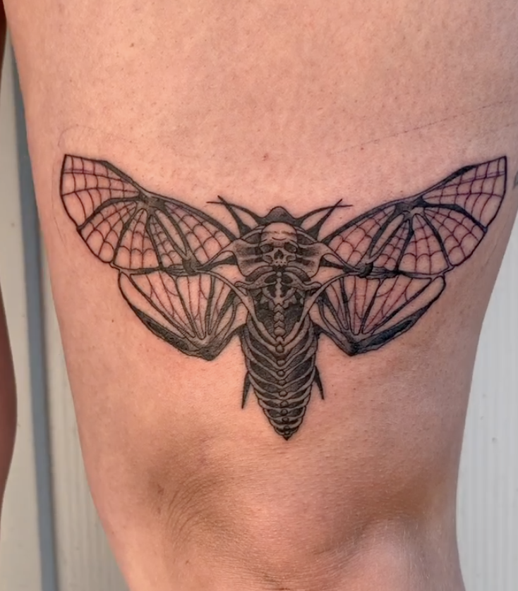 Screenshot 2026-02-21 at 5.13.20 PM.png