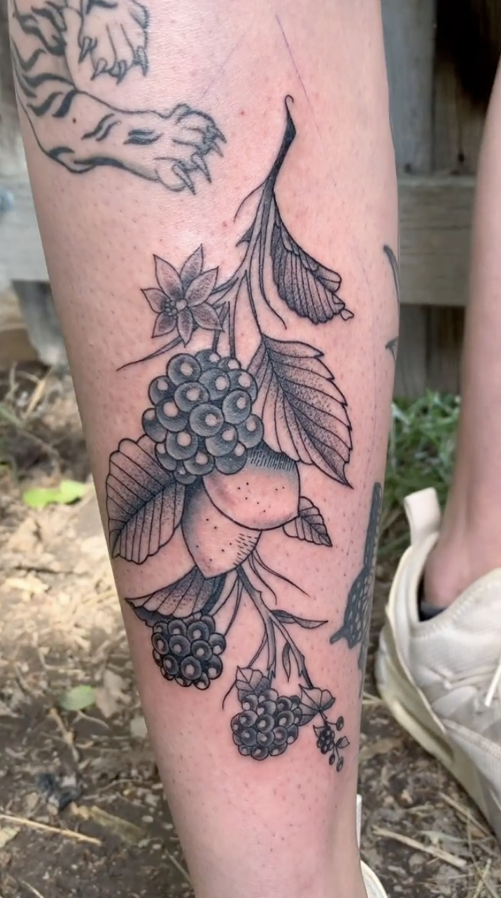 Screenshot 2026-02-21 at 5.13.28 PM.png