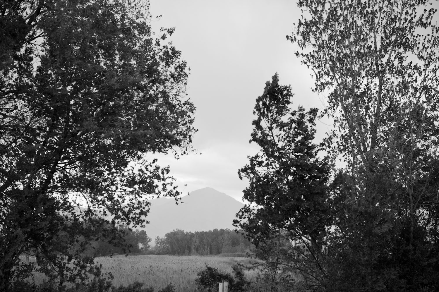 The Redwood Nature Area, a 63 acre bird refuge, borders Chesterfield on the east. 