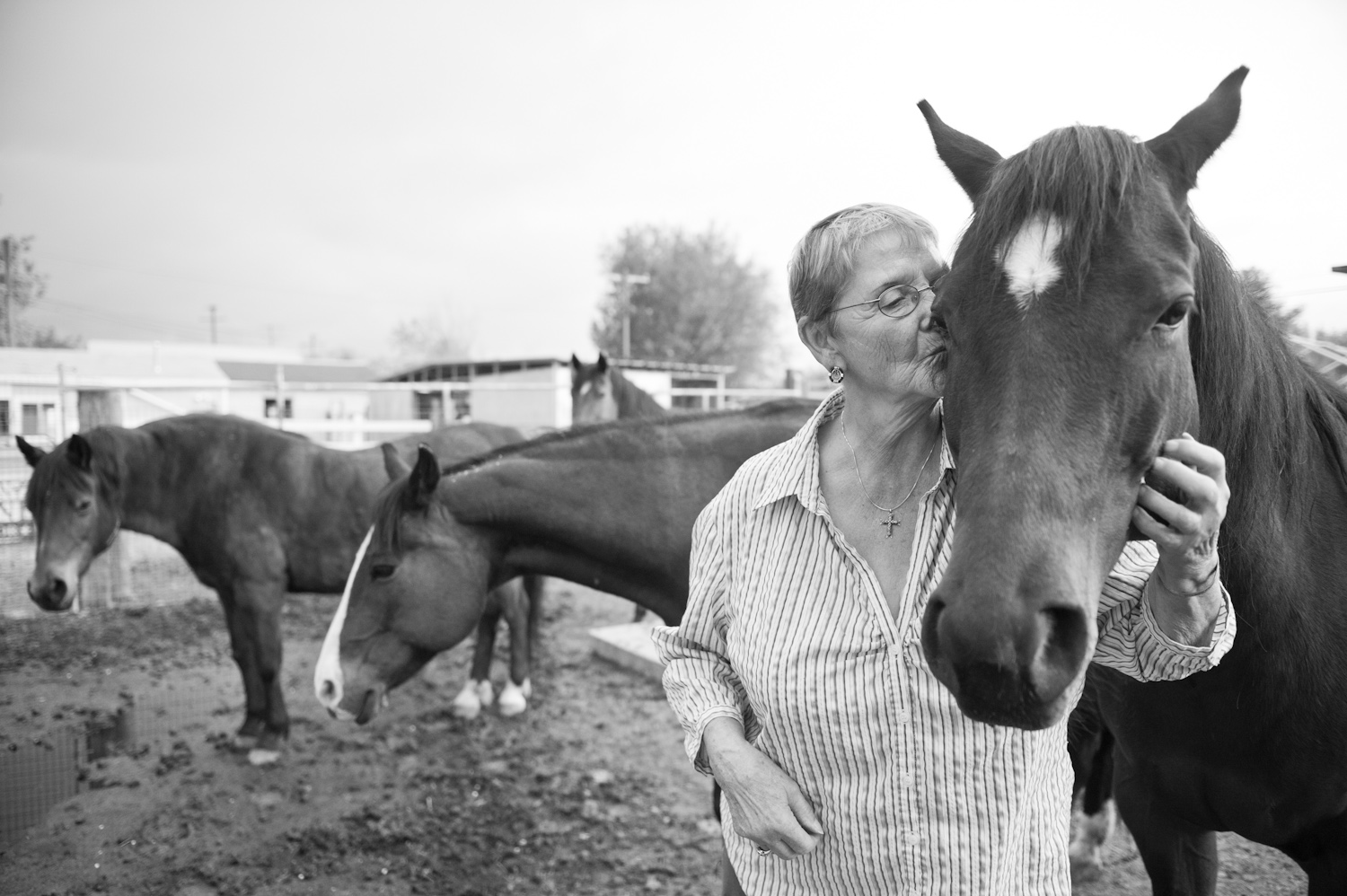 Louise Griggs has lived in Chesterfield for 69 of her 72 years. She loves animals and has several horses, goats and dogs.