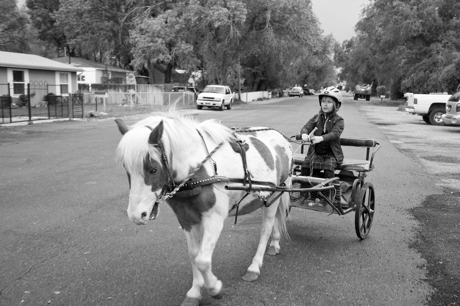 Willow Alexander rides a pony-drawn cart to school.