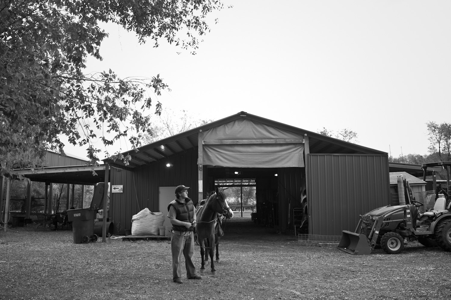 John Sanders, co-operator of The Stable Place, a shelter for abused horses.