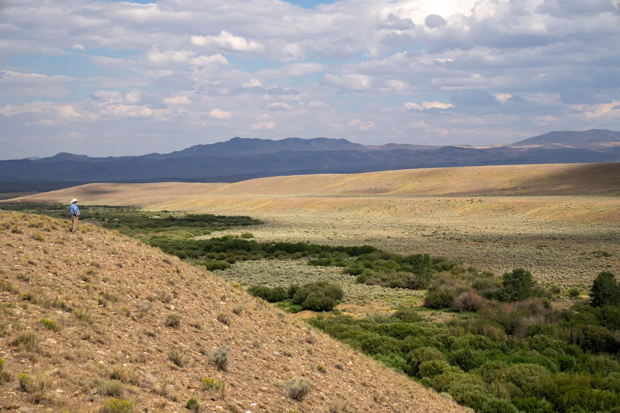 NCW04661.jpg