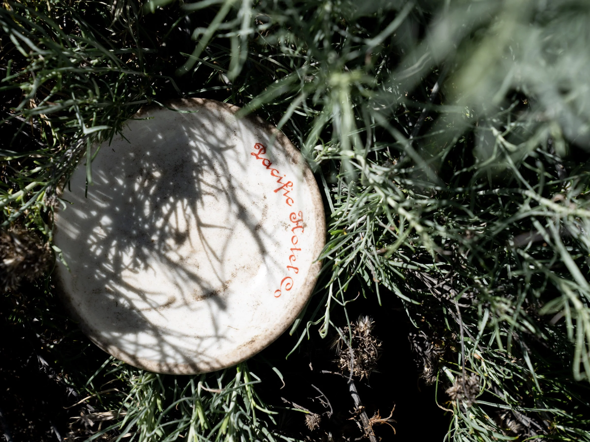 A plate excavated at the Evanston Chinatown in a location archaeologists believe to be the laundry site in June 202.4