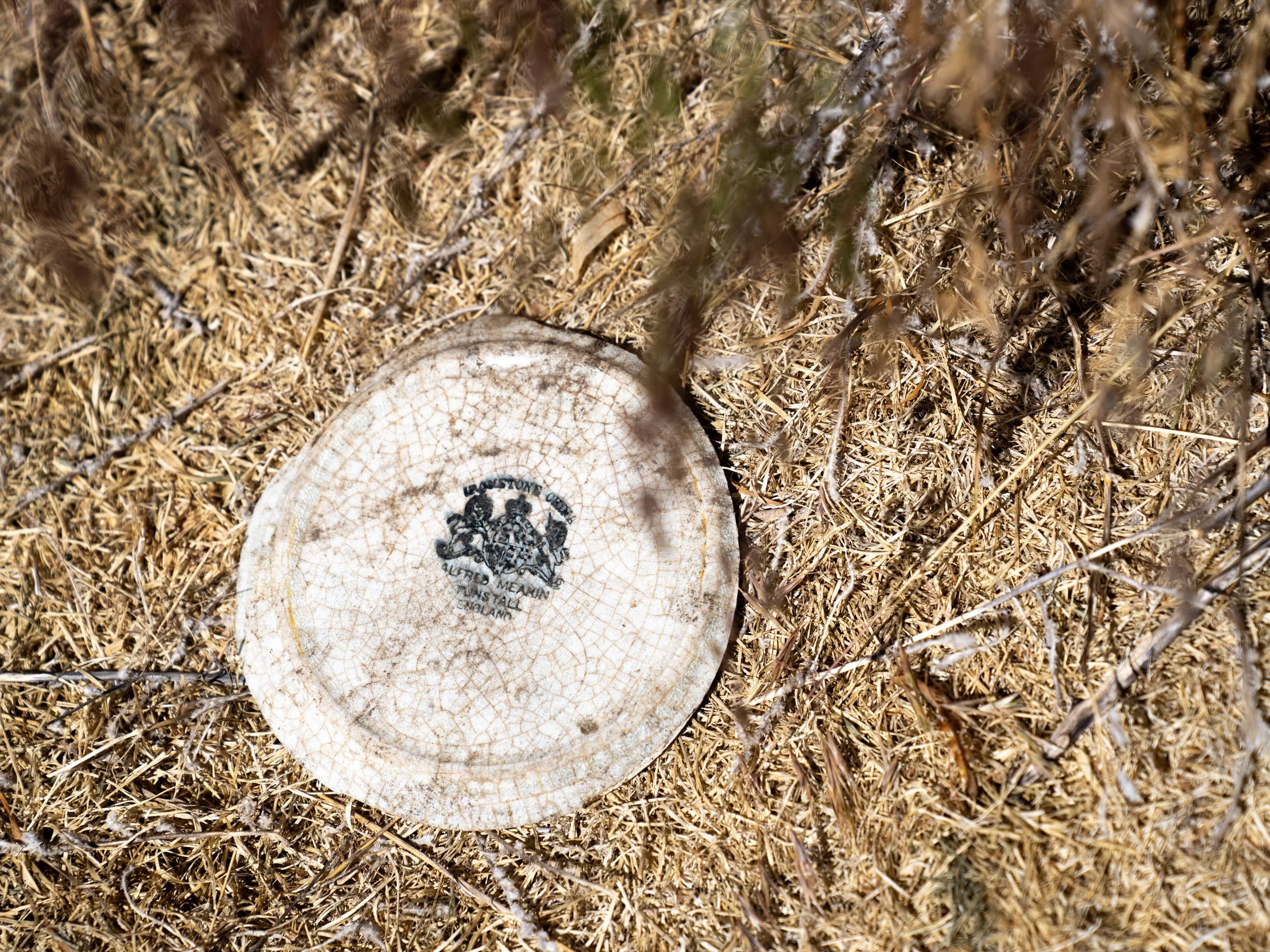 A plate excavated at the Evanston Chinatown in a location archaeologists believe to be the laundry site in June 202.4