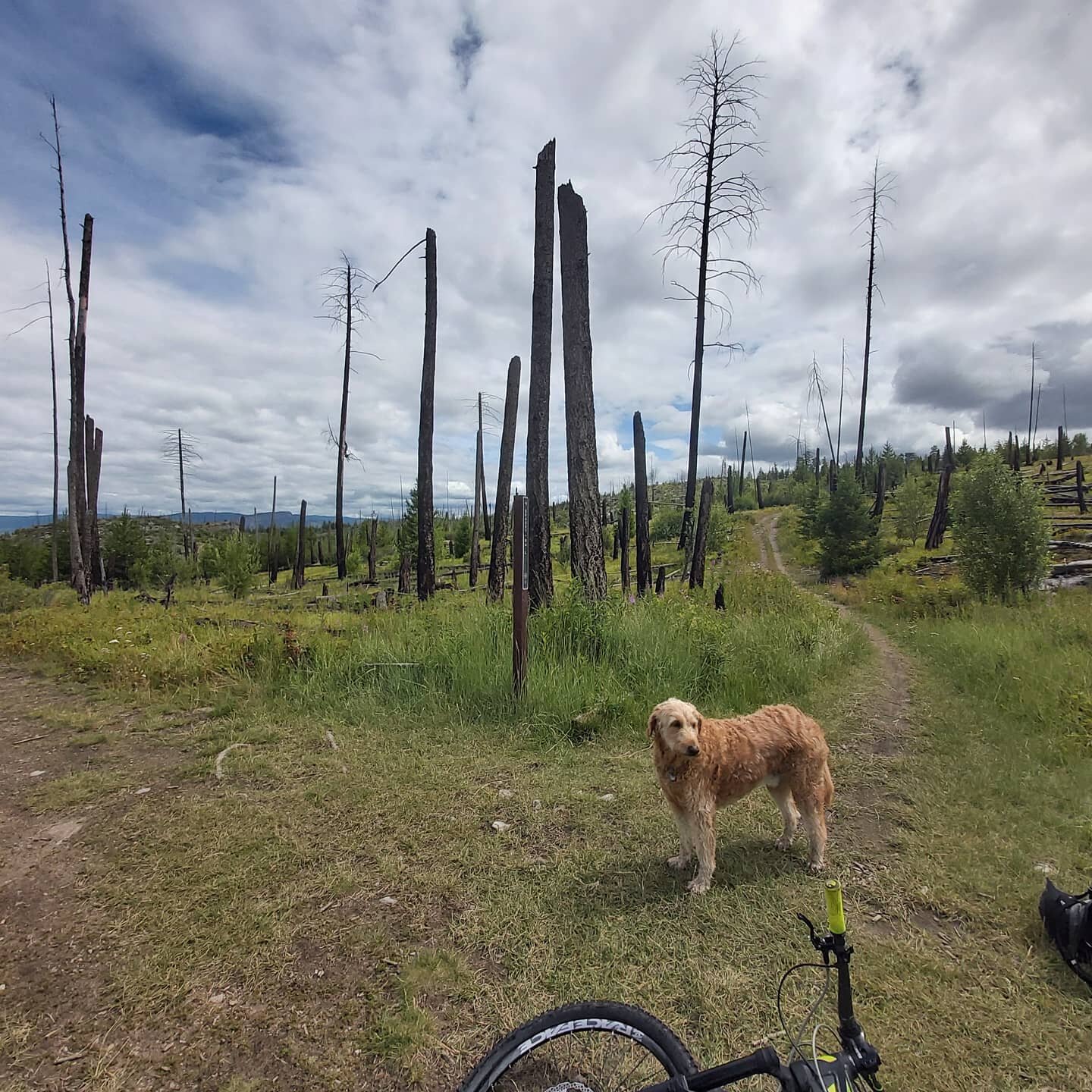 Getting lost on the lake loop with Charles