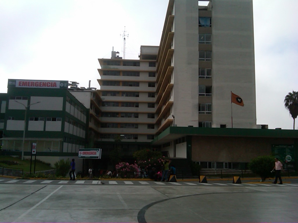 IMG-20120312-00050-758812.jpg