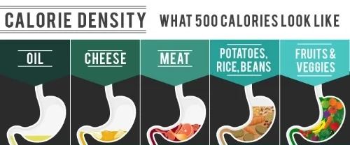 Caloric-Density 1.jpg