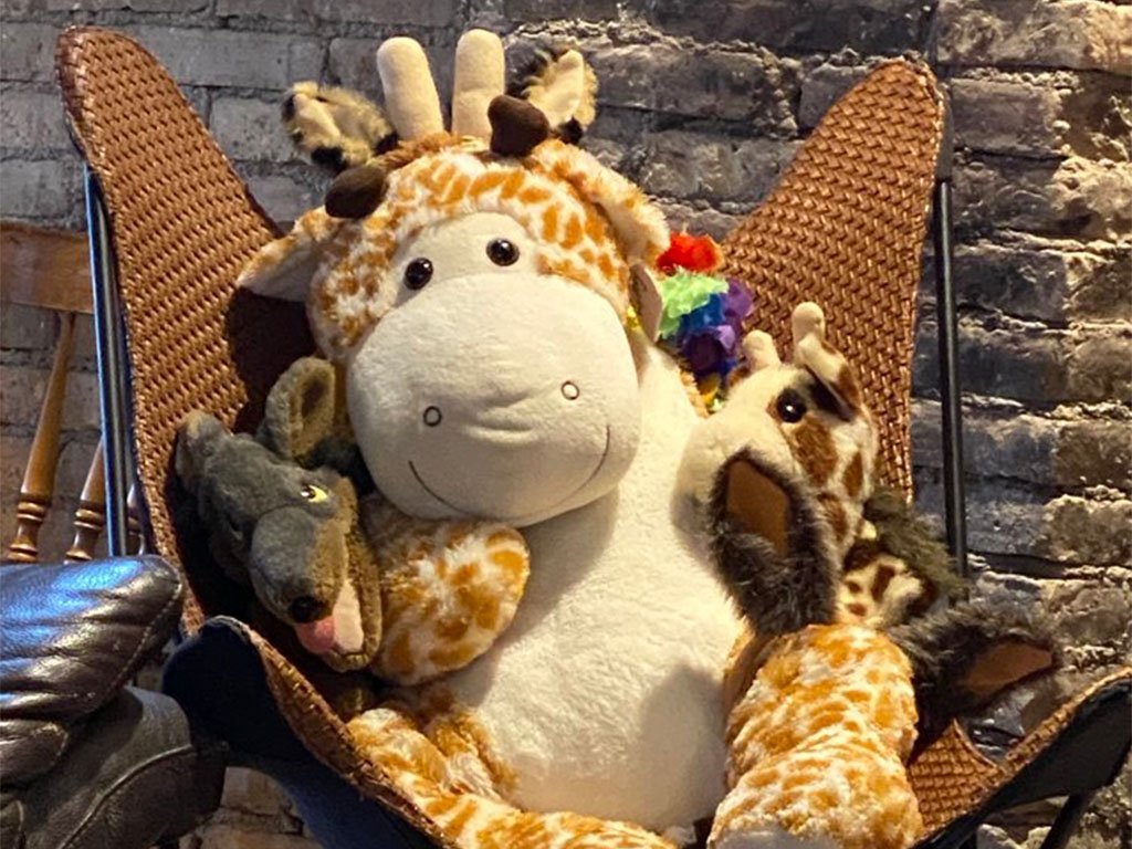 Fundamentals of NVC - Friday (M&M)