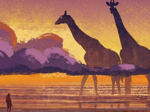 Fundamentals of NVC I