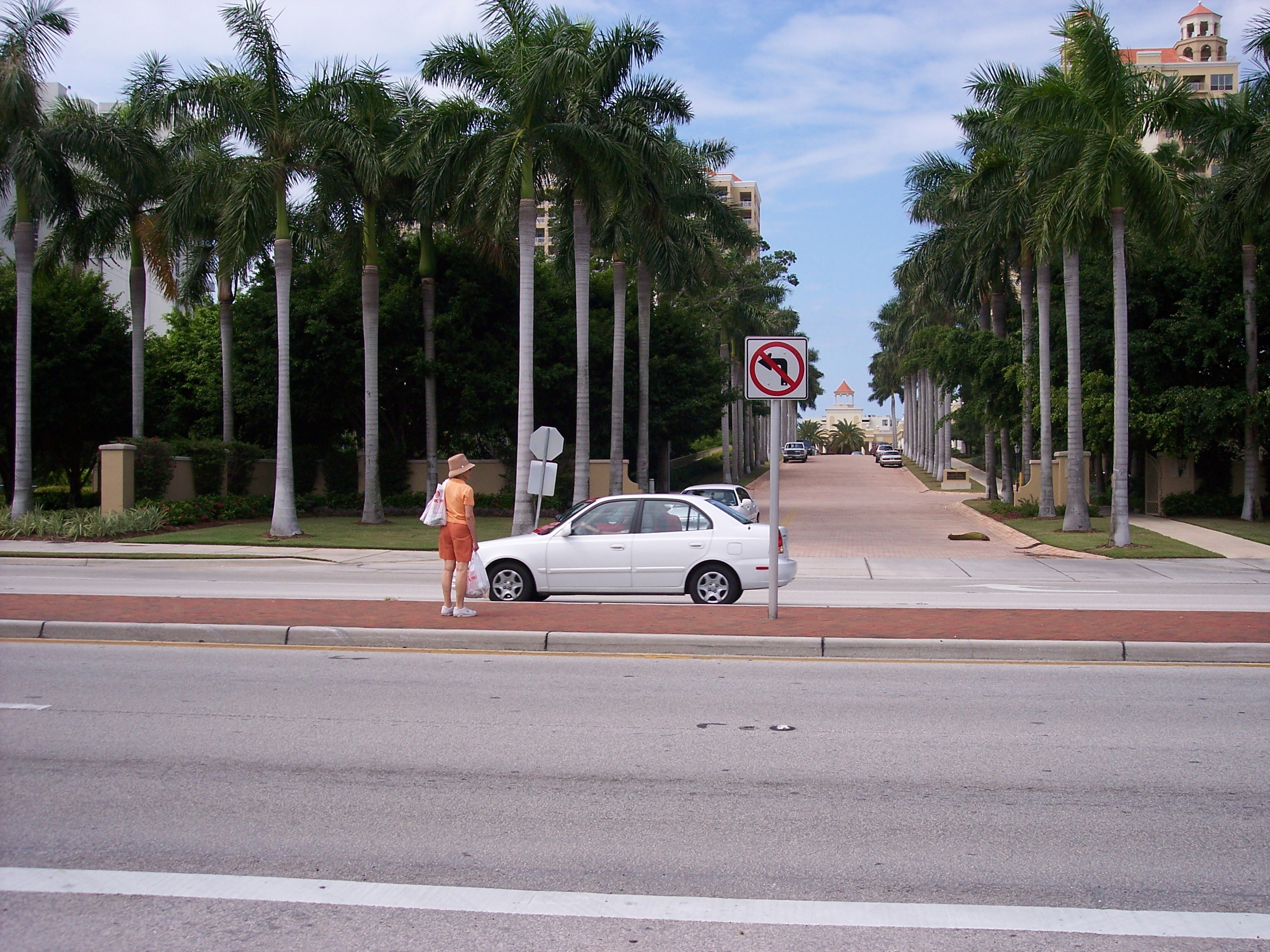 US41_sarasota_pedcrossing.jpg