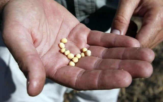 ¿Cuál es la clave para cosechar mexicanos innovadores?