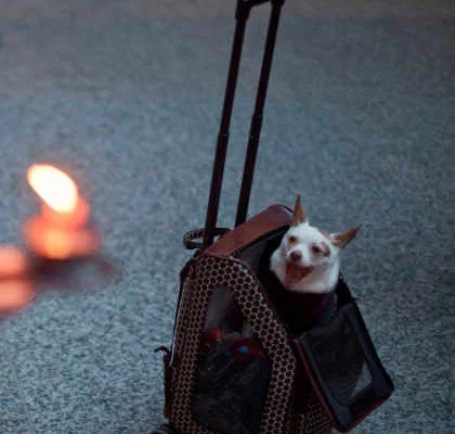 8 motivaciones para cambiar e innovar