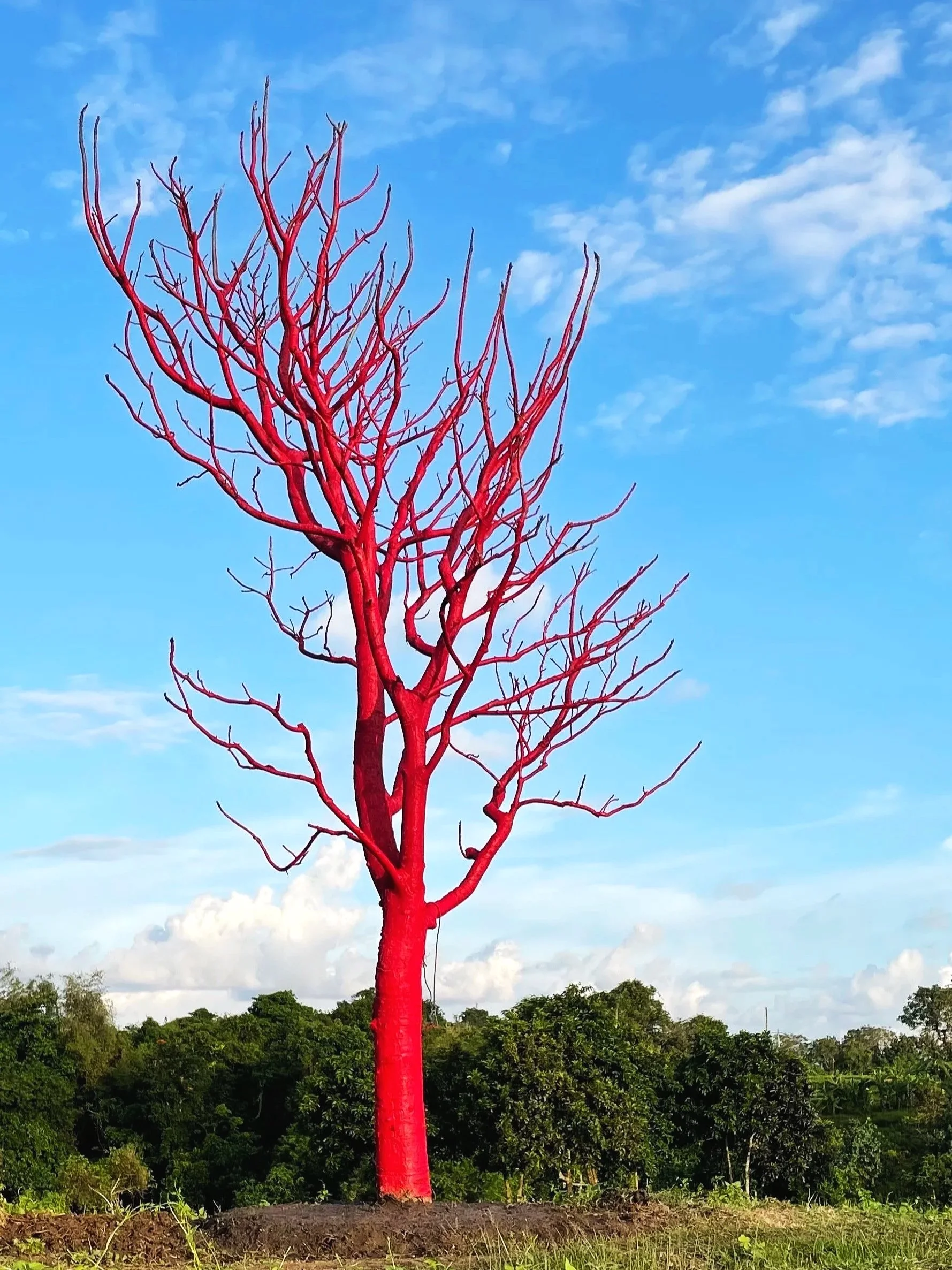The Red Tree, 2022.  Location: Nuanu
