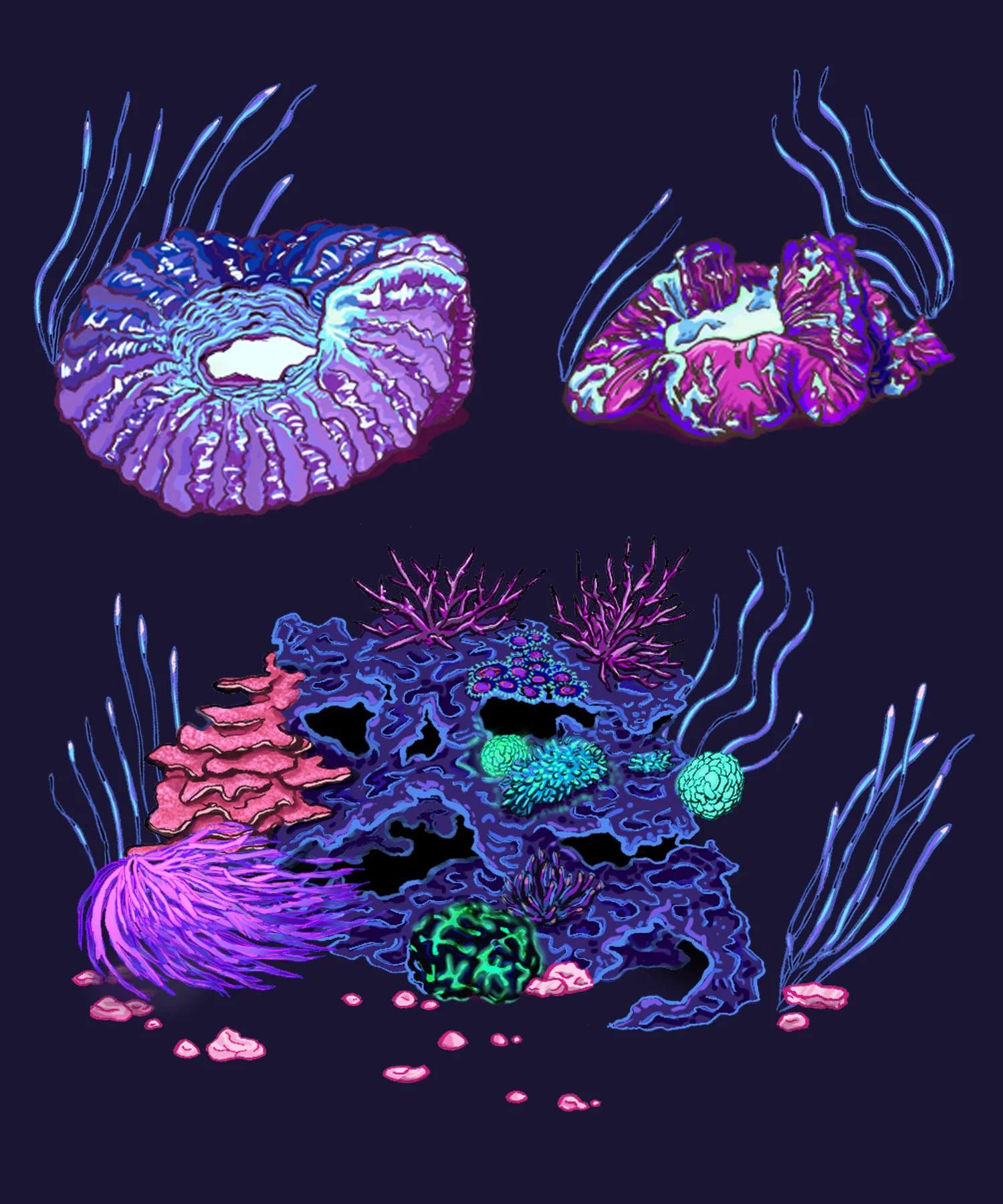 FFI assets 2.jpg
