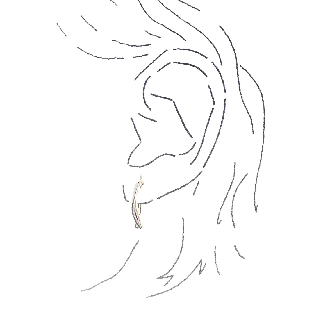 curvedstapleear2.jpg