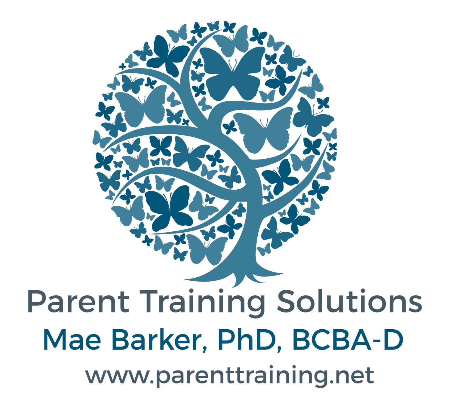 Parent Training Solutions