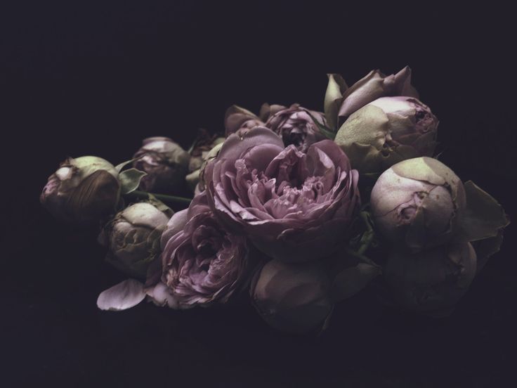 Ashley Woodson Bailey