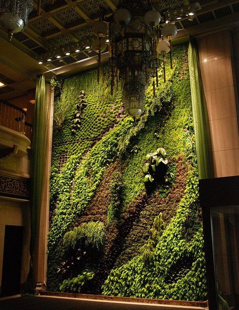 designed by patrick blanc