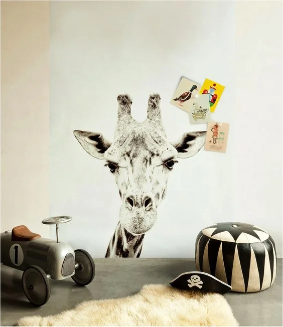 grumpy cat might have some competition via groovy magnets