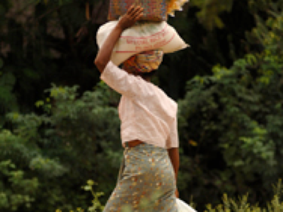 The Muse Within