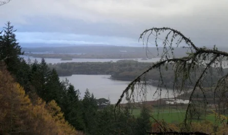 OSTEOPOROSIS PREVENTION