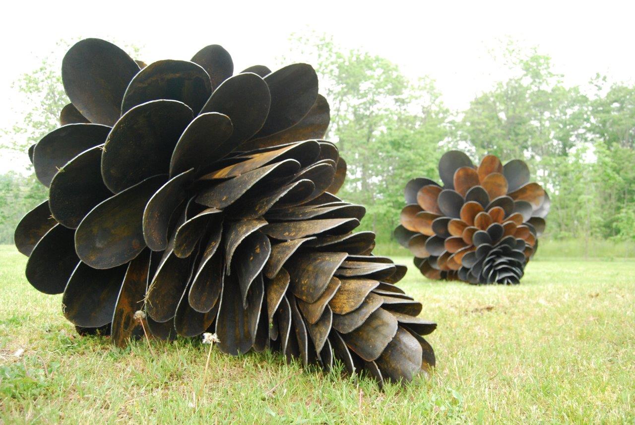Colonization Device