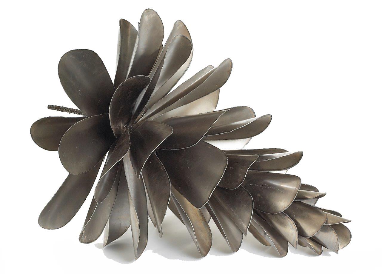 Pine Cone