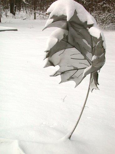sculpture