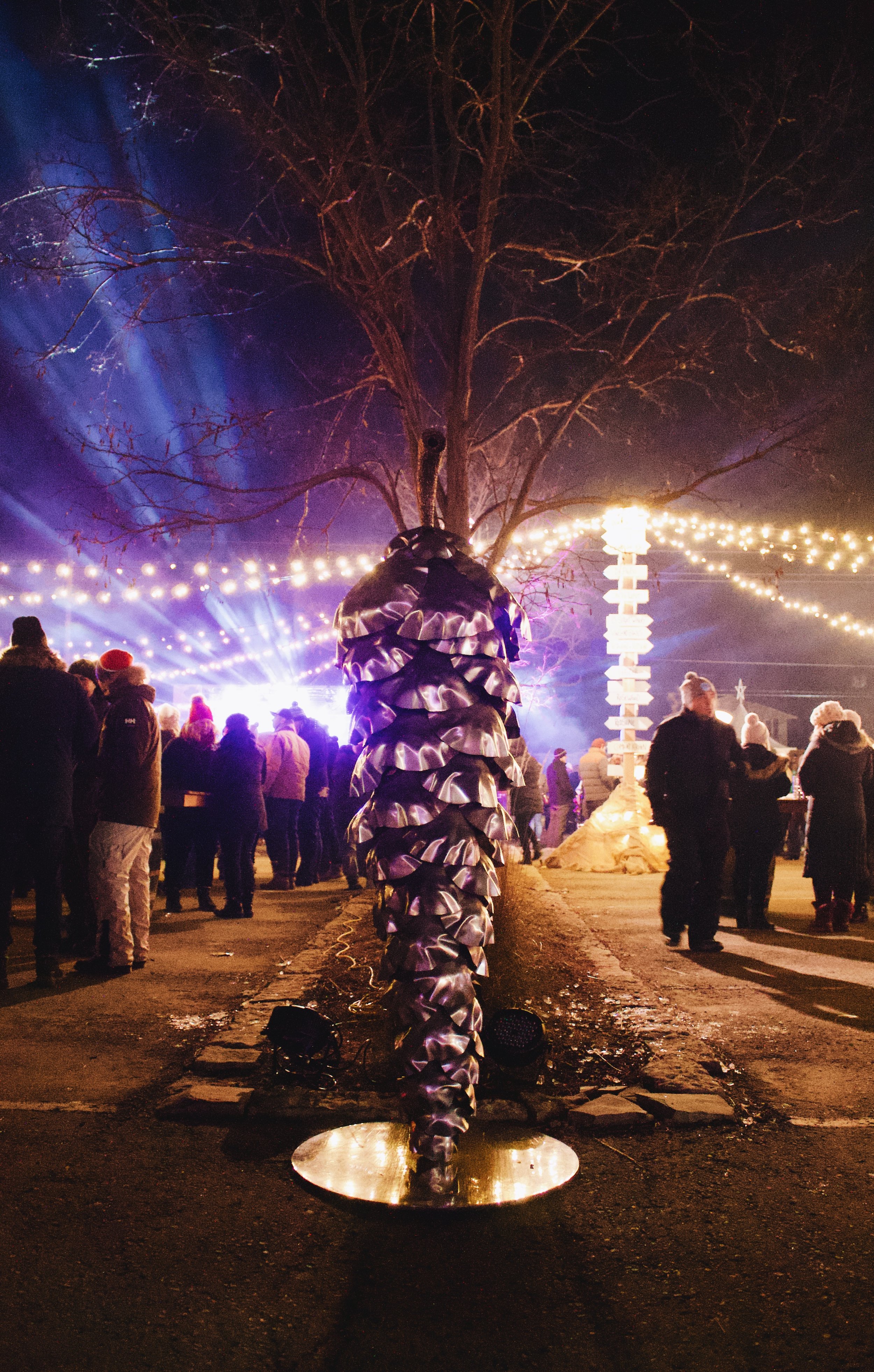 Winter WineFest, 2019