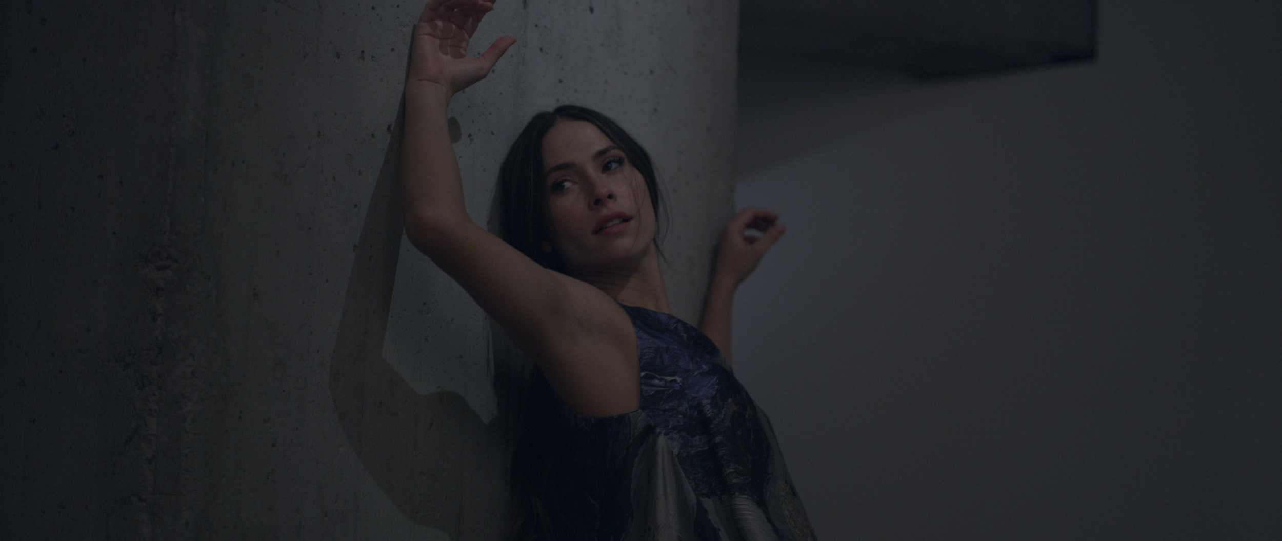 Dos Cuerpos - Director's Cut