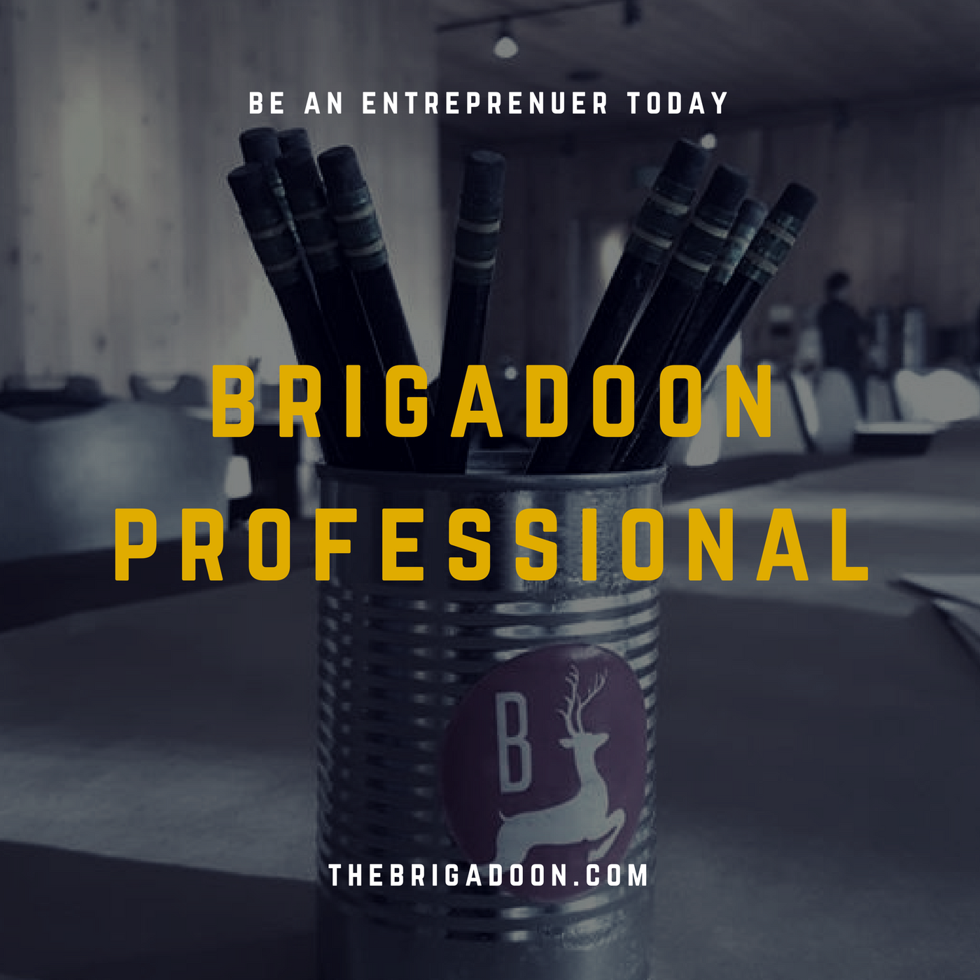 Brigadoon Professional 3.png