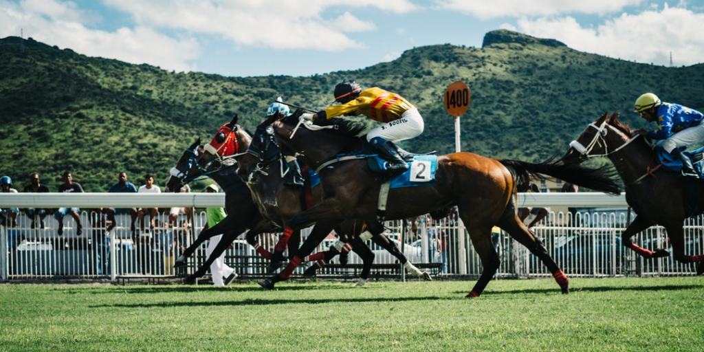 Horserace.png