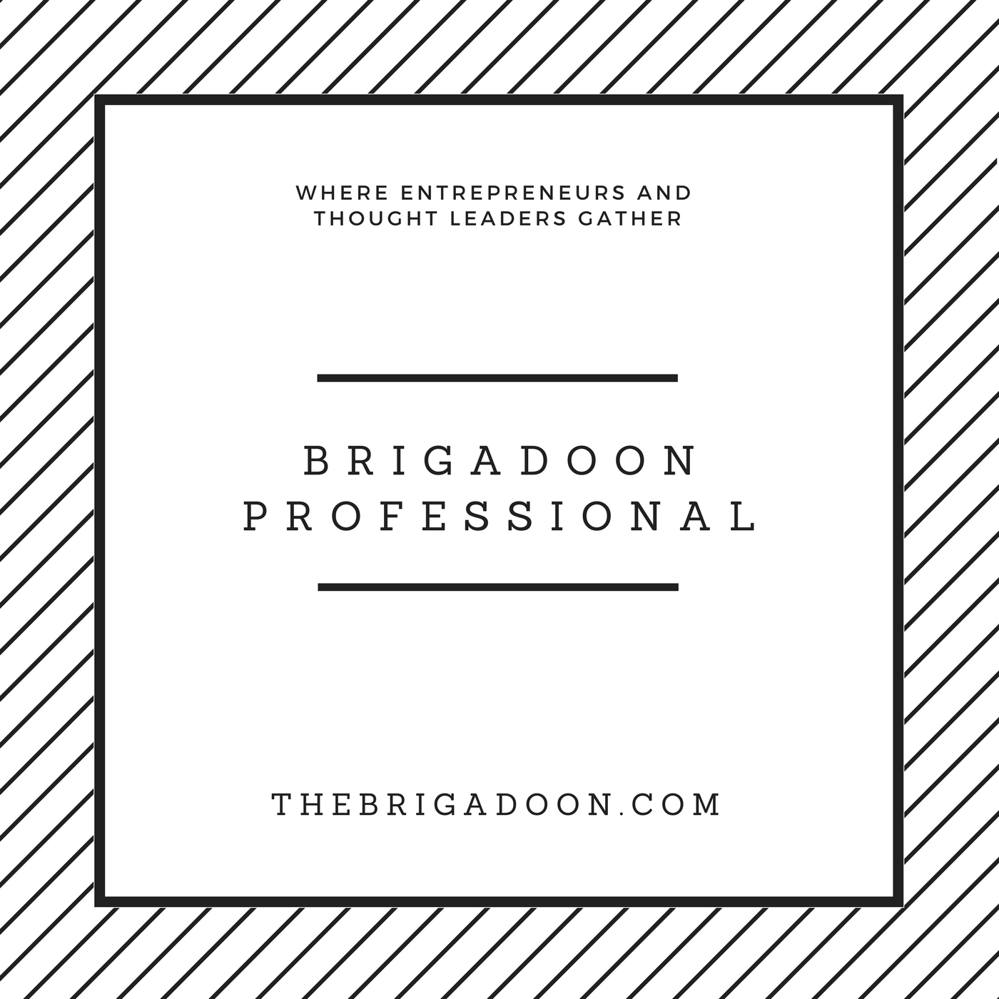 Brigadoon Professional 2.png