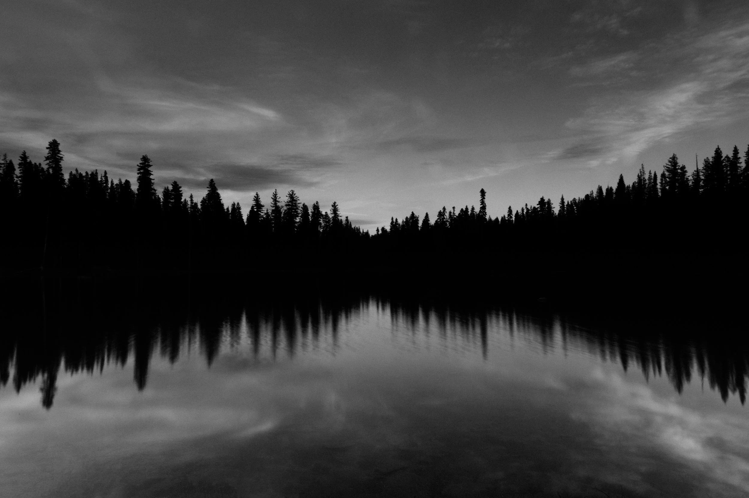 unsplash-image-Flxl7OUuO1M.jpg