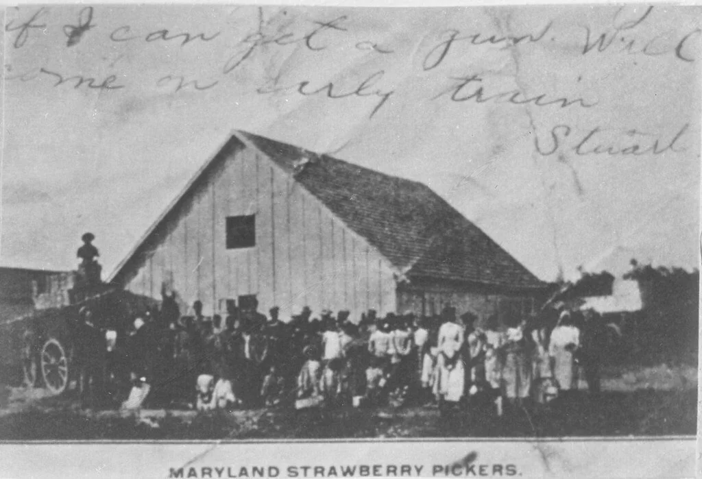 Environmental Justice Is Cultural: Roots, Land, and Memory