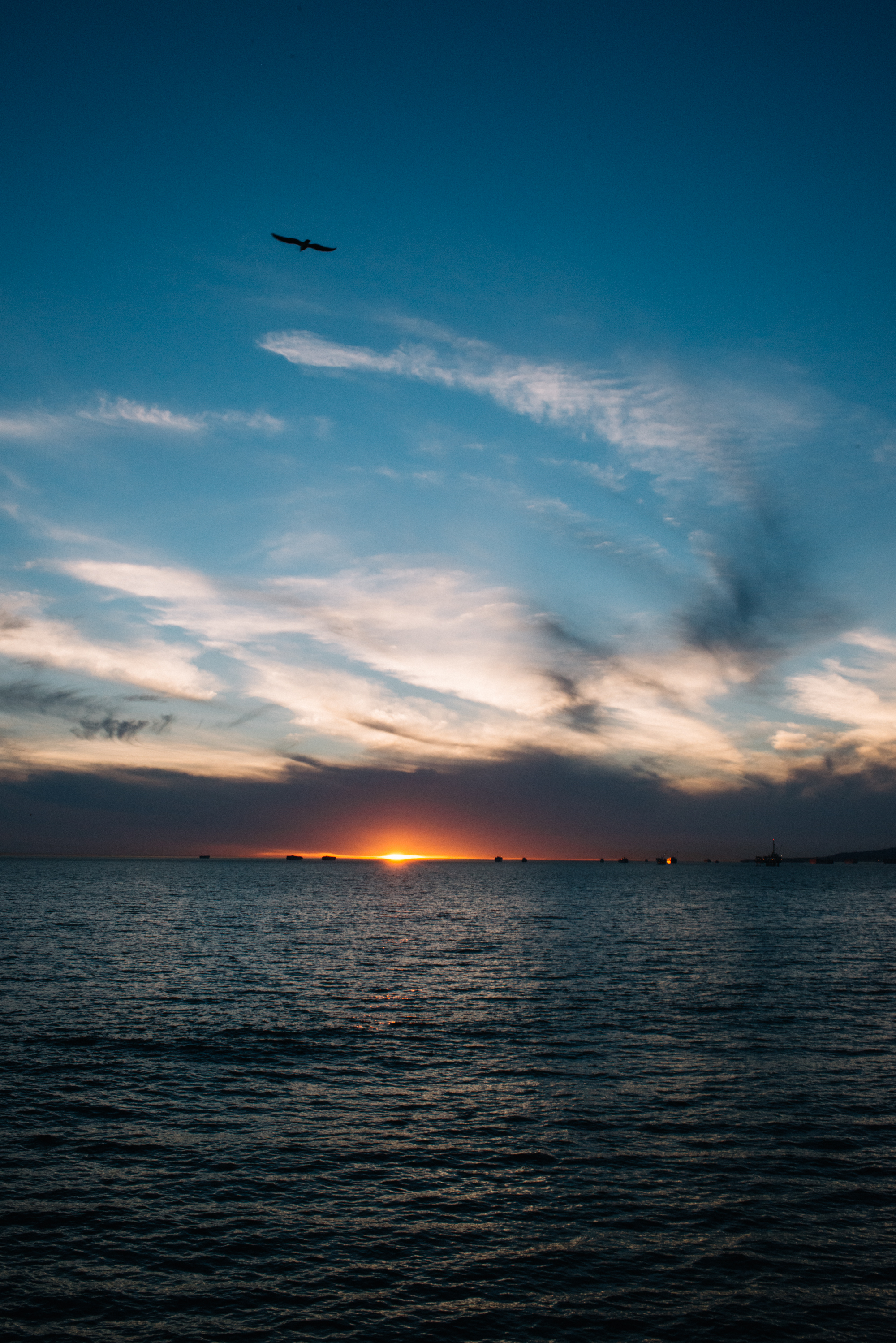 Huntington Beach | melissademata.com