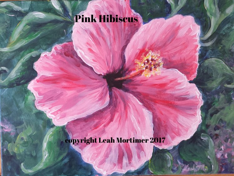 pink+hibiscus copyright.jpg