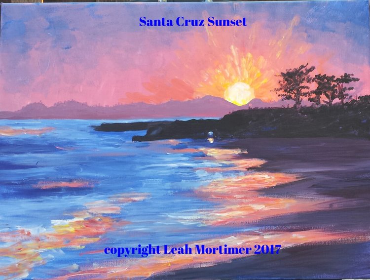 santa cruz copyright.jpg